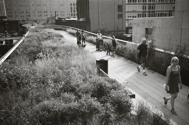 The High Line, Aug 2009