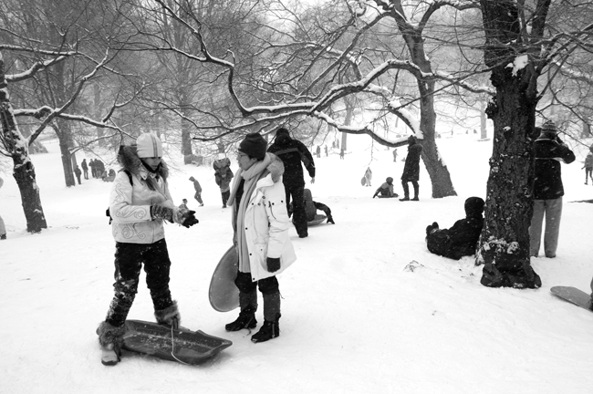 Pilgrim Hill, Central Park © Doug Kim