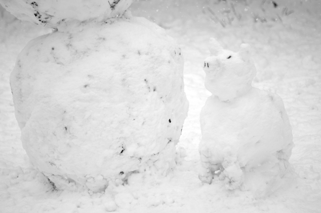 Snow Pig, Washington Square © Doug Kim