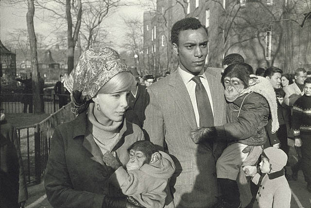 Central Park Zoo, Garry Winogrand, New York, 1967 © The Estate of Garry Winogrand