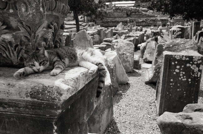 Ephesus, Turkey; Leica MP 0.58, 35mm Summicron, Kodak Tri-X © Doug Kim
