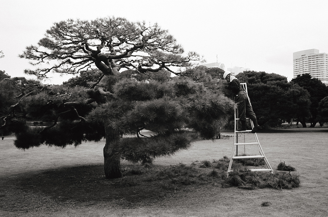 Kokyo Gaien National Garden, Chiyoda, Tokyo, Japan; Leica MP 0.58, 35mm Summicron, Kodak Tri-X © Doug Kim