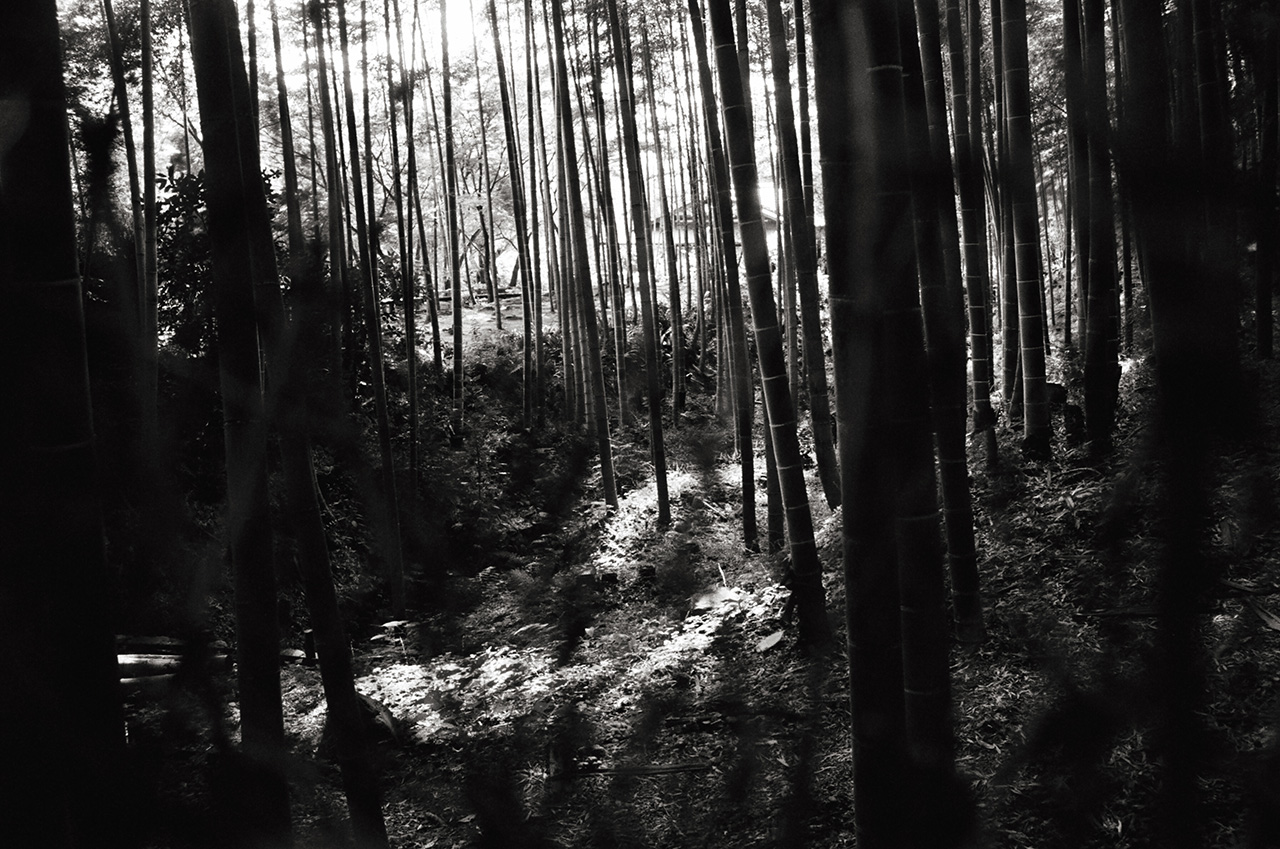 Arashiyama Bamboo Grove, Kyoto, Japan; Leica MP 0.58, 35mm Summicron, Kodak Tri-X © Doug Kim